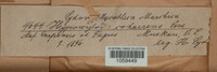 Jackrogersella cohaerens image